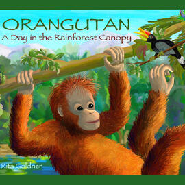 Review of Orangutan: A Day in the Rainforest Canopy
